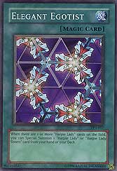 Elegant Egotist