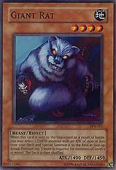 Giant Rat
