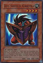 Big Shield Gardna