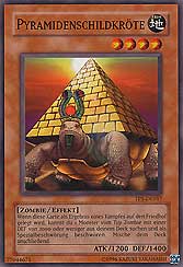 Pyramidenschildkröte