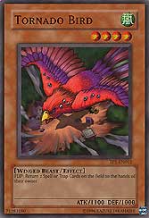 Tornado Bird