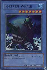 Fortress Whale