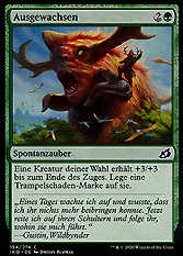 Ausgewachsen 