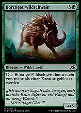 Borstiges Wildschwein 