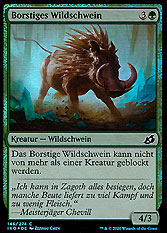 Borstiges Wildschwein 