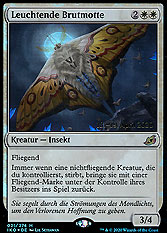 Leuchtende Brutmotte 