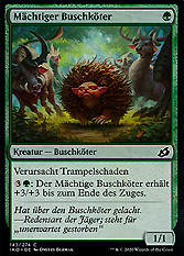 Mächtiger Buschköter 
