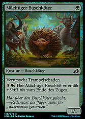Mächtiger Buschköter 