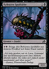 Robuster Spulkäfer 