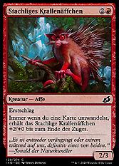 Stachliges Krallenäffchen
