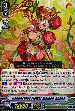 Ranunculus Flower Maiden, Ahsha