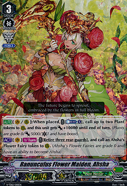 Ranunculus Flower Maiden, Ahsha