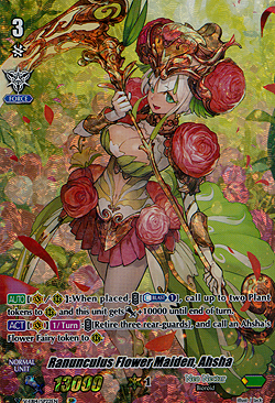 Ranunculus Flower Maiden, Ahsha