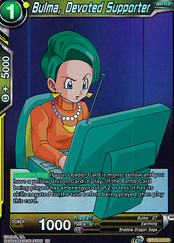 Bulma, Devoted Supporter