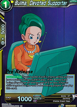 Bulma, Devoted Supporter