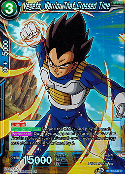 Vegeta, Warrior That Crossed Time