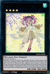 Rikka-Königin Strenna