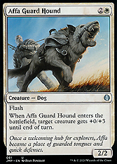 Affa Guard Hound