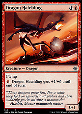 Dragon Hatchling