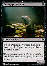 Drainpipe Vermin