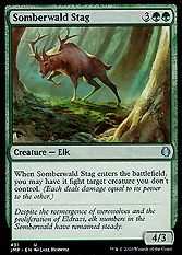 Somberwald Stag