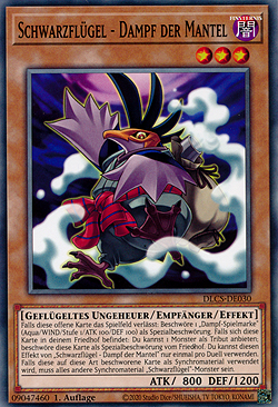 Schwarzflügel - Dampf der Mantel