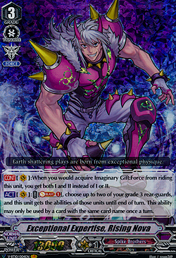 Exceptional Expertise, Rising Nova