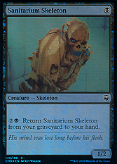 Sanitarium Skeleton