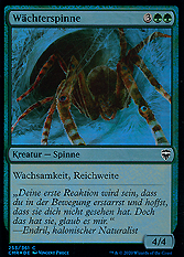 Wächterspinne