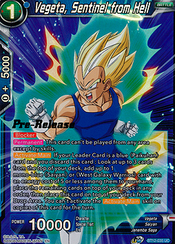 Vegeta, Sentinel from Hell