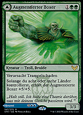 Augmentierter Boxer // Widerhallende Gleichung