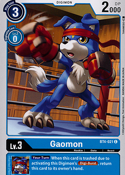 Gaomon