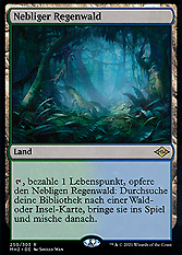 Nebliger Regenwald
