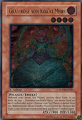 Gravirose von Koa