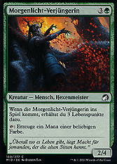Morgenlicht-Verjüngerin