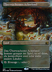 Überwachsenes Ackerland