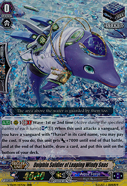 Dolphin Soldier of Leaping Windy Seas