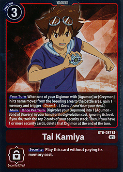 Tai Kamiya