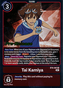 Tai Kamiya