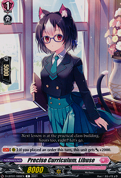 Precise Curriculum, Libuse