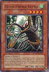 Cross-Sword Beetle