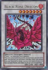 Black Rose Dragon