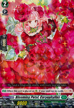 Blooming Petal, Caryophyllus