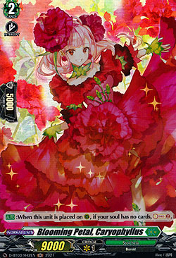 Blooming Petal, Caryophyllus