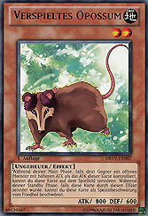 Verspieltes Opossum