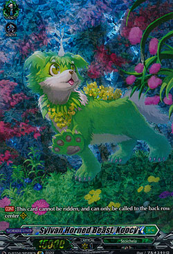 Sylvan Horned Beast, Koocy