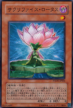 Samsara Lotus