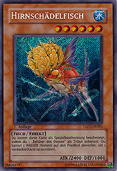 Hirnschädelfisch