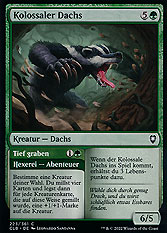 Kolossaler Dachs