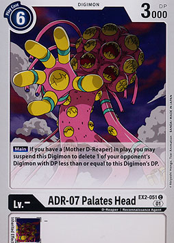 ADR-07 Palates Head